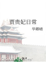 贾贵妃日常小说
