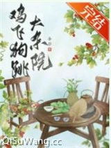 鸡飞狗跳大杂院小说