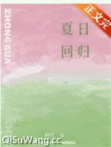 夏日回归小说
