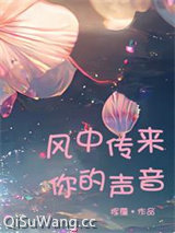 风中传来你的声音小说