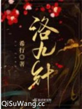 洛九针小说