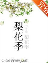 梨花季小说