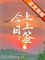 今日上上签小说
