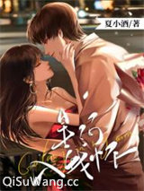 星河入我怀小说