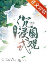 红楼沉浸式围观小说