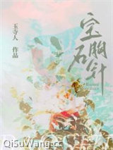 宝石胸针[先婚]小说