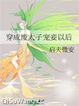 穿成废太子宠妾以后小说
