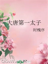 大唐第一太子小说