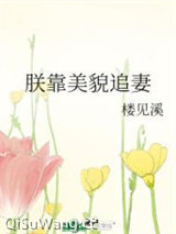 朕靠美貌追妻小说