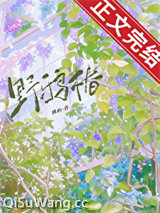 野鸦椿小说