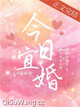 今日宜婚小说
