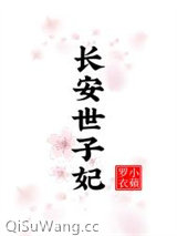长安世子妃小说