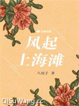 风起上海滩小说