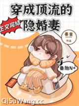 穿成顶流的隐婚妻小说