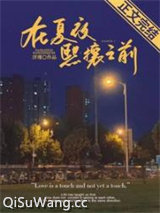 在夏夜熙攘之前小说