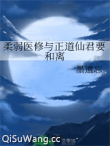 柔弱医修与正道仙君要和离小说