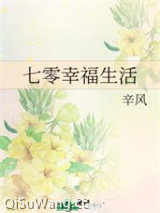 七零幸福生活小说