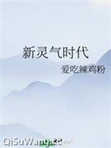 新灵气时代小说