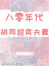 八零年代胡同甜爽夫妻小说