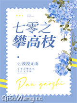 七零之攀高枝小说