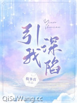 引我深陷小说