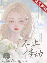 不止悸动小说
