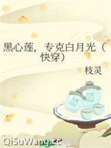 黑心莲，专克白月光（快穿）小说