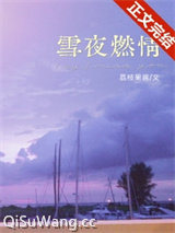 雪夜燃情小说