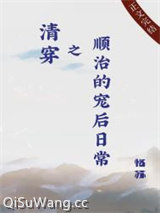 清穿之顺治的宠后日常小说