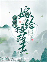 重生后嫁给摄政王小说