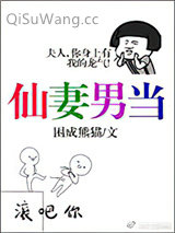 仙妻男当小说