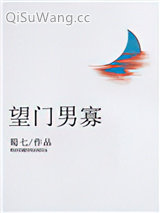 望门男寡小说