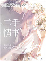 二手情书小说