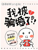 我被骗婚了！！！小说