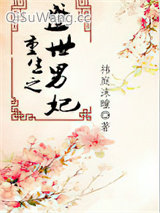 重生之盛世男妃小说