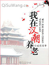 我在汉朝养老小说