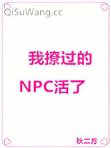 我撩过的NPC活了小说