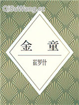 金童小说