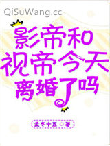 影帝视帝今天离婚了吗小说