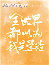 全世界都以为我是学渣小说