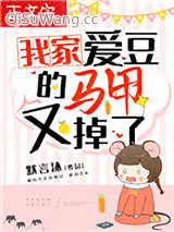我家爱豆的马甲又掉了小说