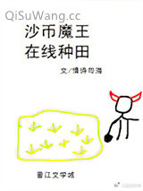 沙币魔王，在线种田小说