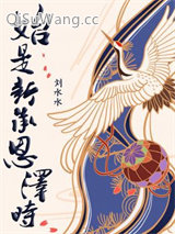 始是新承恩泽时小说