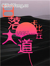日落大道小说