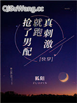 抢了男配就跑真刺激［快穿］小说