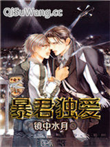 暴君独爱小说