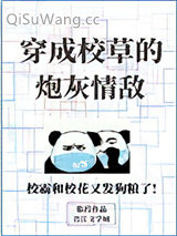 穿成校草的炮灰情敌小说