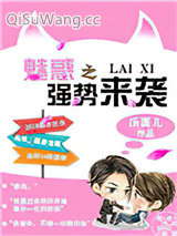 魅惑之强势来袭小说