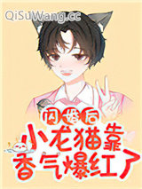闪婚后小龙猫靠香气爆红了小说