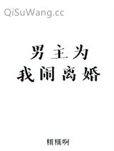 男主为我闹离婚小说